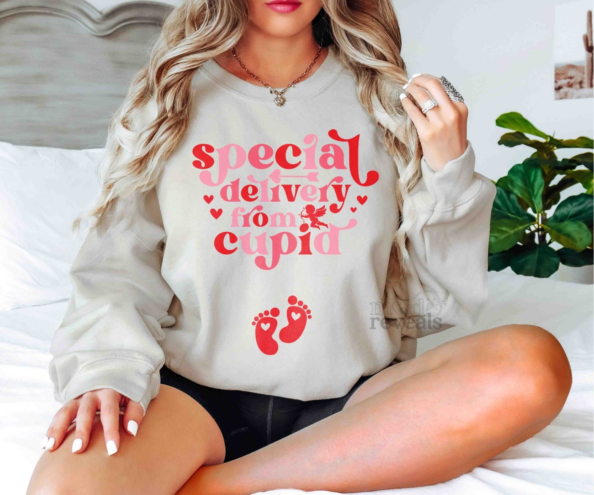 Special Delivery From Cupid Sweatshirt - Mod Reveals